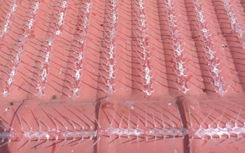 IT Consulting & Support