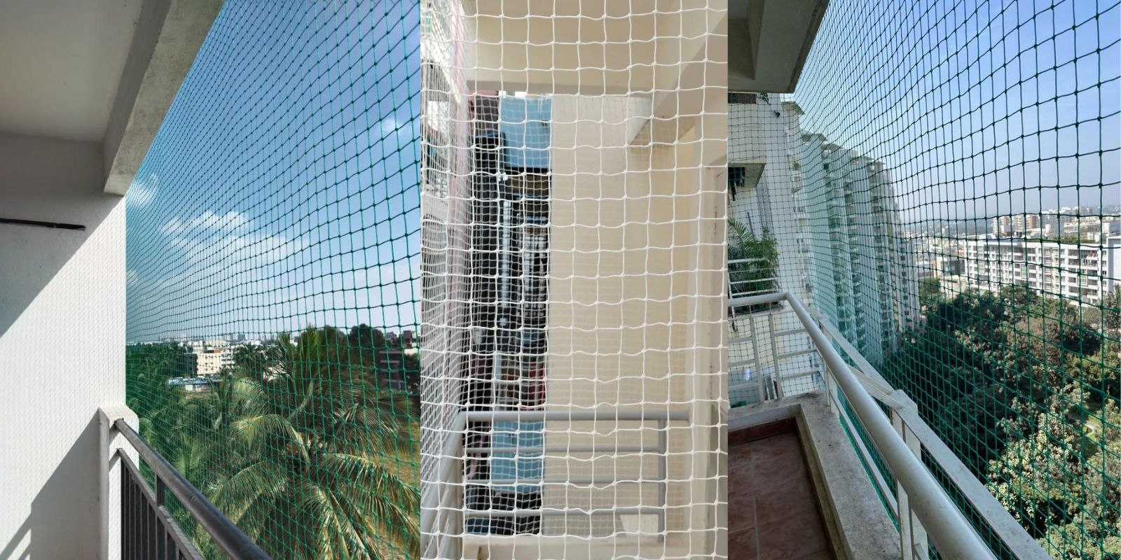 a image of team member in office